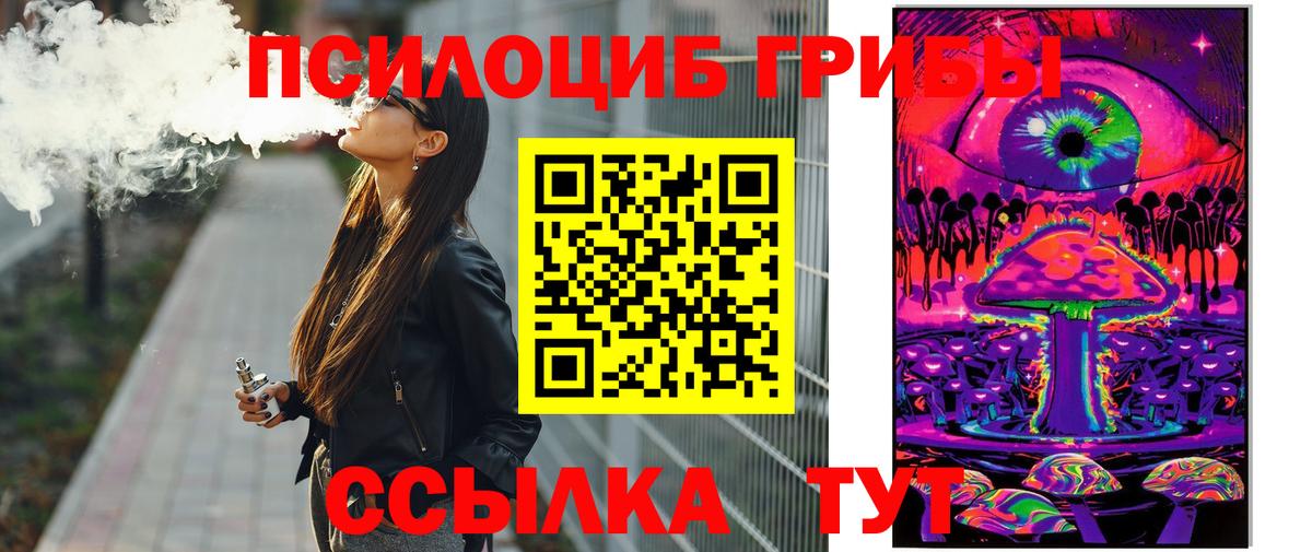 Ессентуки  Псилоцибиновые грибы GOLDEN TEACHER  Вход с VPN 