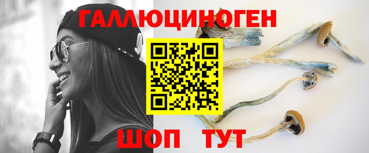 Галлюциногенные грибы MAGIC MUSHROOMS Ессентуки
